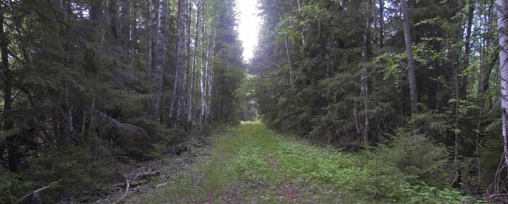 
            Фотография Дробин