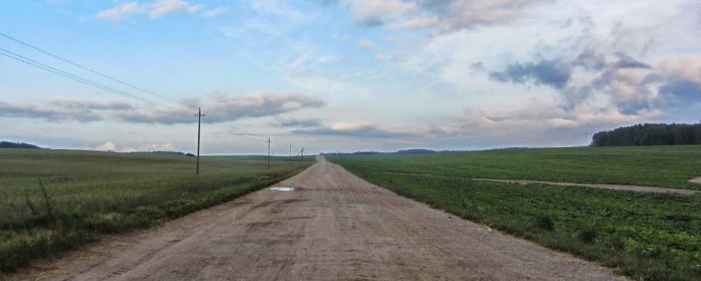 
            Фотография Герников