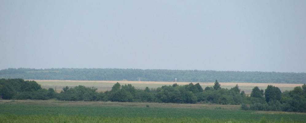 
            Фотография Подсоборовки