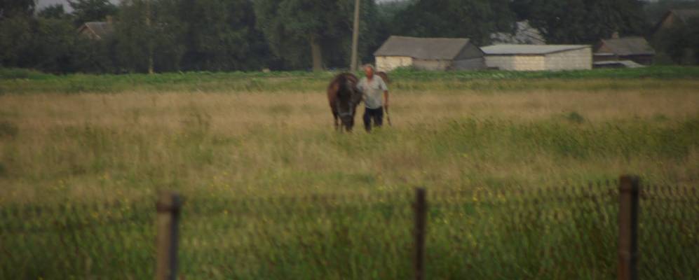 
            Фотография Падыща