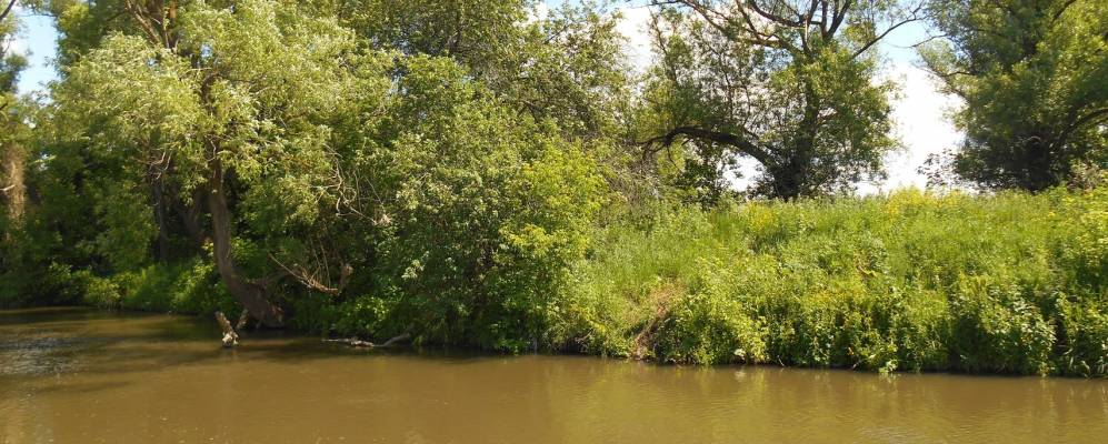 
            Фотография Зеленой Рощи