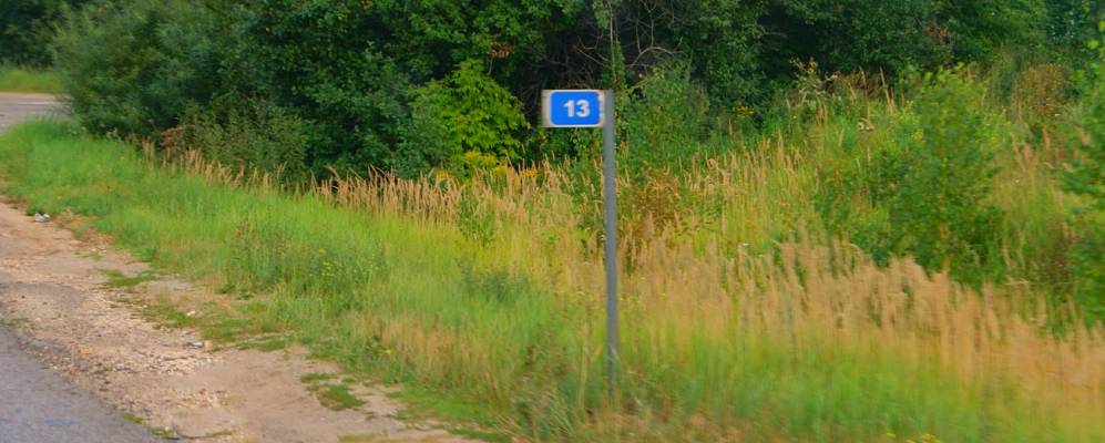 
            Фотография Несвило