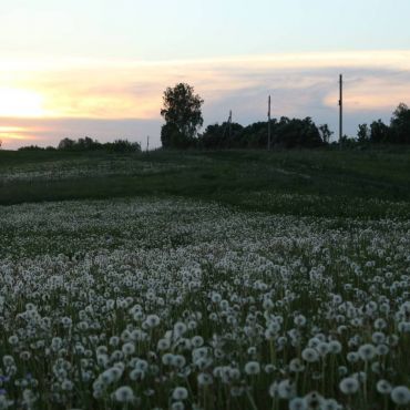 Козьмодемьяновка