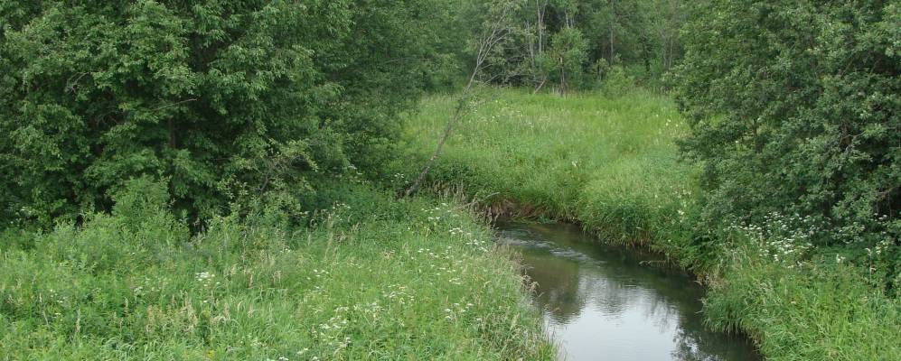 
            Фотография Шебаново