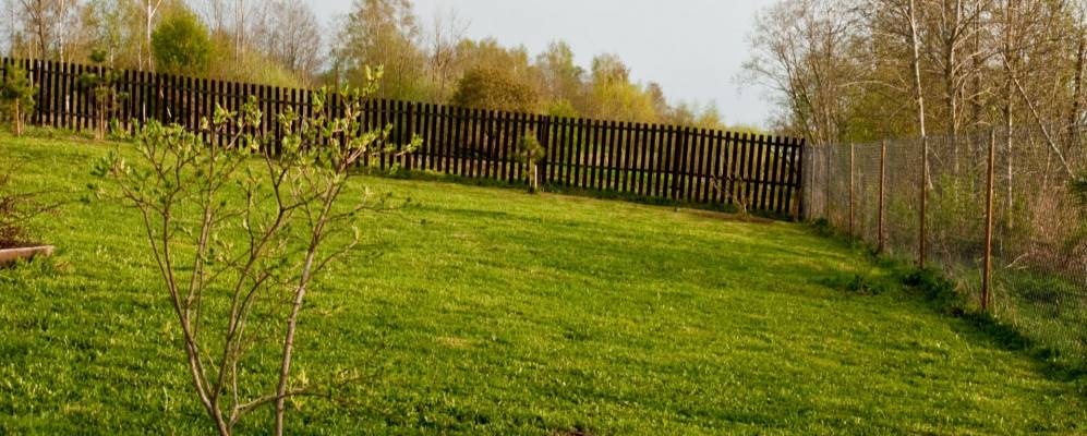 
            Фотография Муравьев