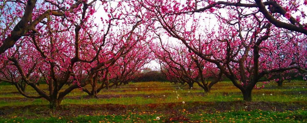 
            Фотография Айос-Лукаса