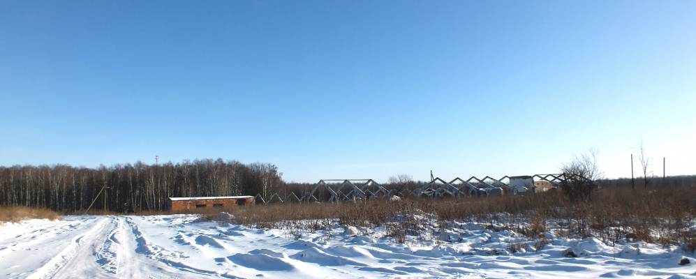 Фотография Сухой Зуши