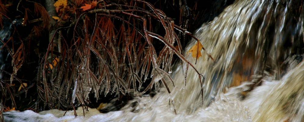 
            Фотография Вест Скарборо