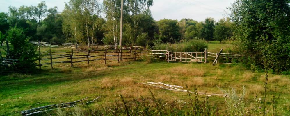 
            Фотография Кривошеево