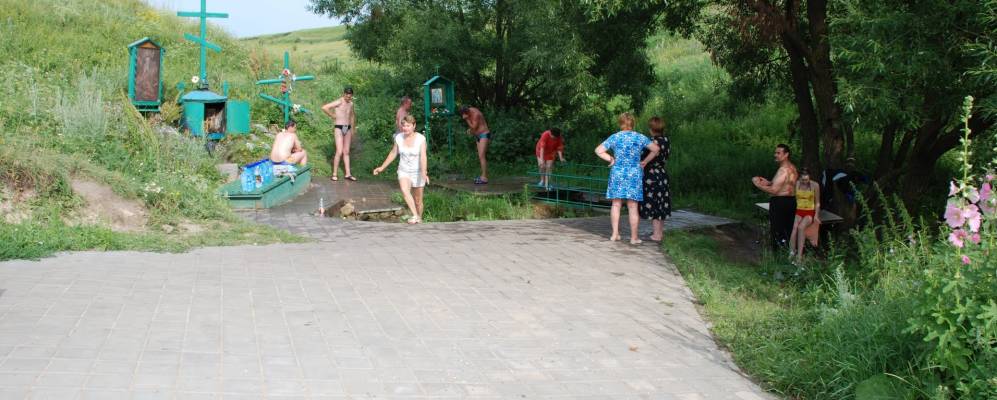 
            Фотография Несвитчено