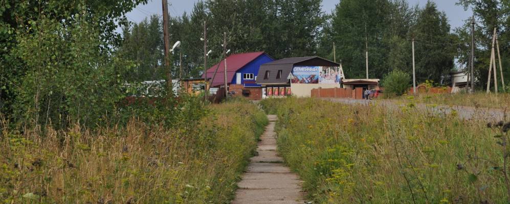 
            Фотография Вахруш