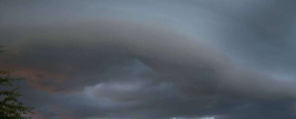 
            Фотография Присельской