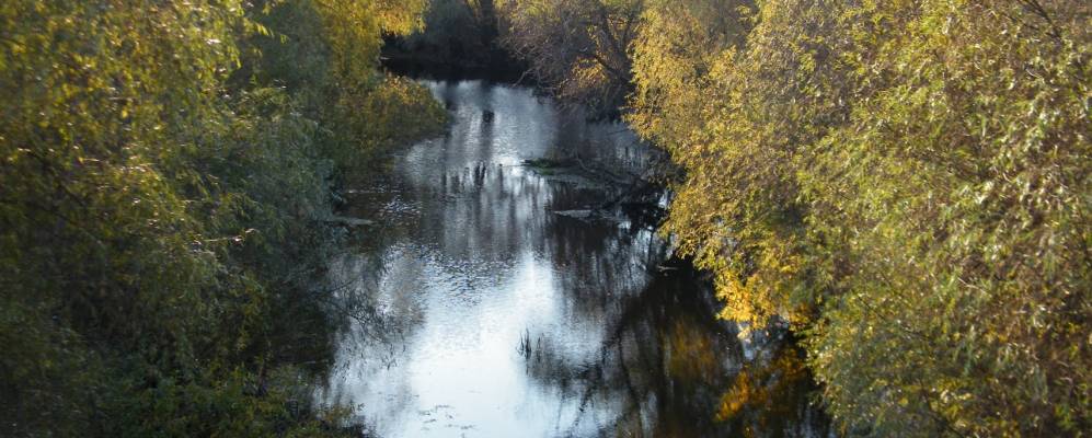 
            Фотография Лубенщины