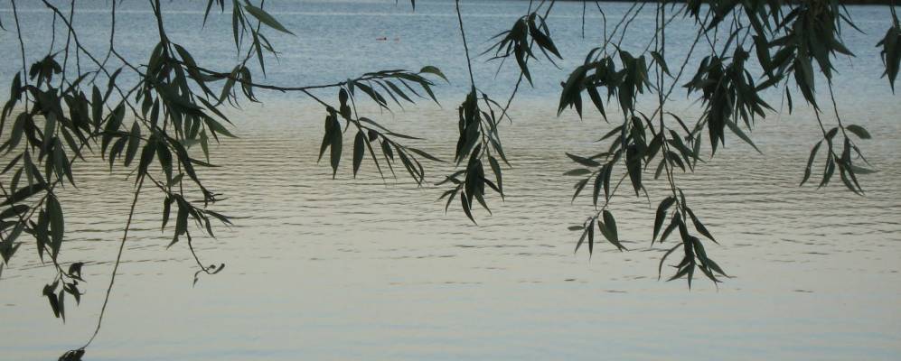 Фотография Чернеча