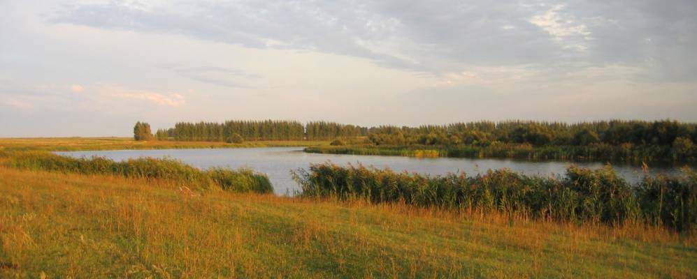 
            Фотография Алексеевки