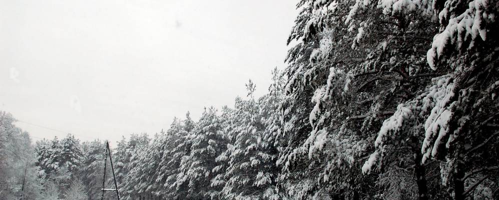 Фотография Липовой Гривы