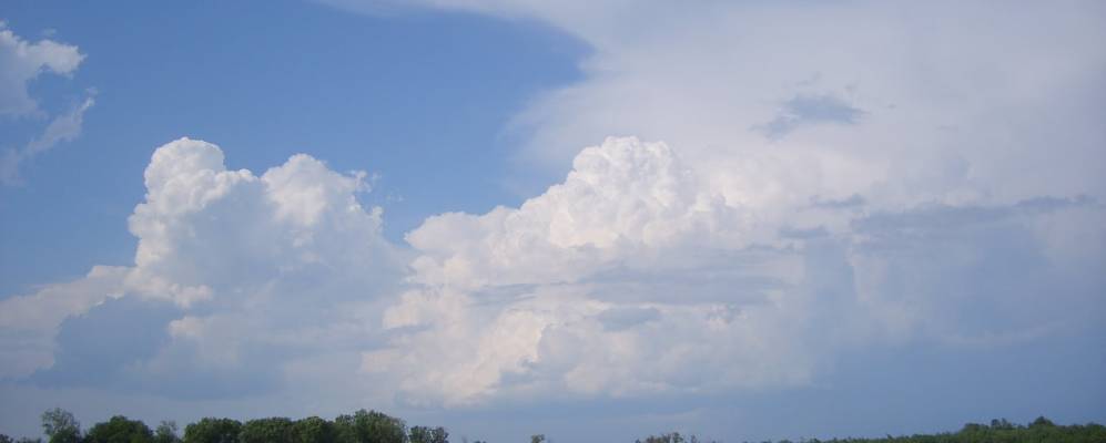 
            Фотография Борисовской Первой