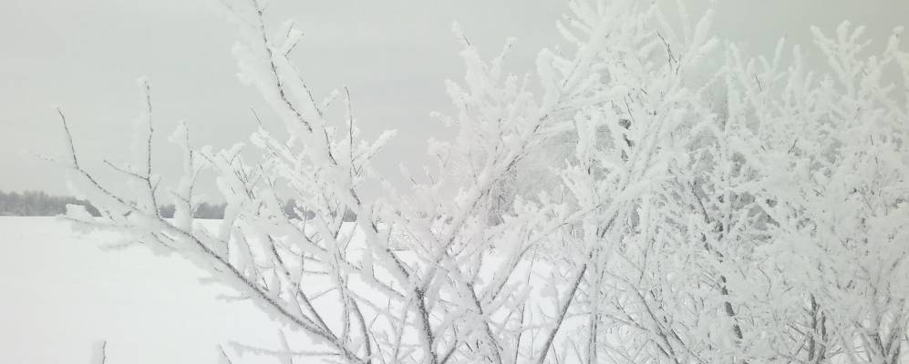 
            Фотография Сергеевки