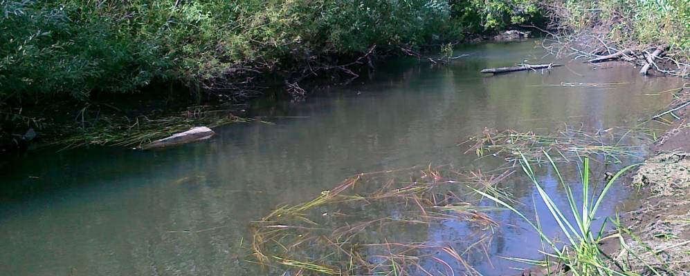 
            Фотография Воейково