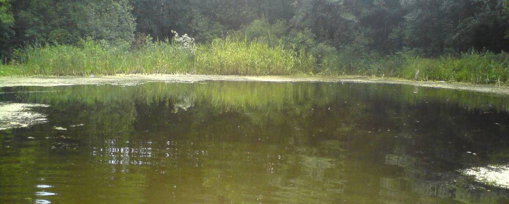 Фотография Масычево