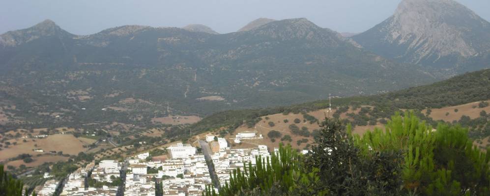 
            Фотография Прадо дель Рей