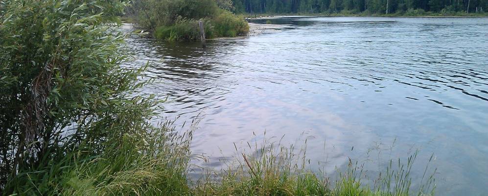 
            Фотография Подсосновки