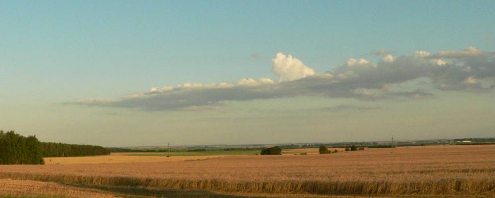 
            Фотография Островка