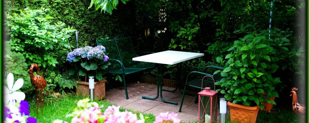 
            Фотография Аусертрефлинга