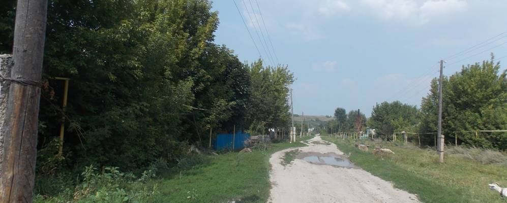 
            Фотография Успенского