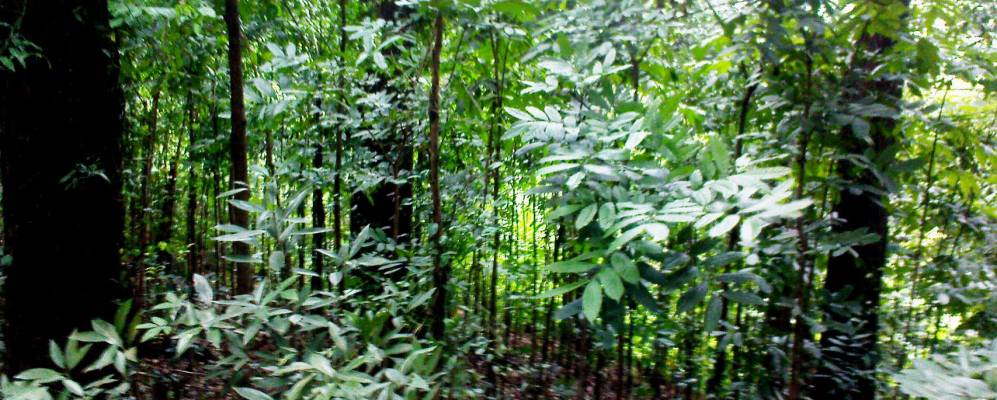 
            Фотография Бадаллы