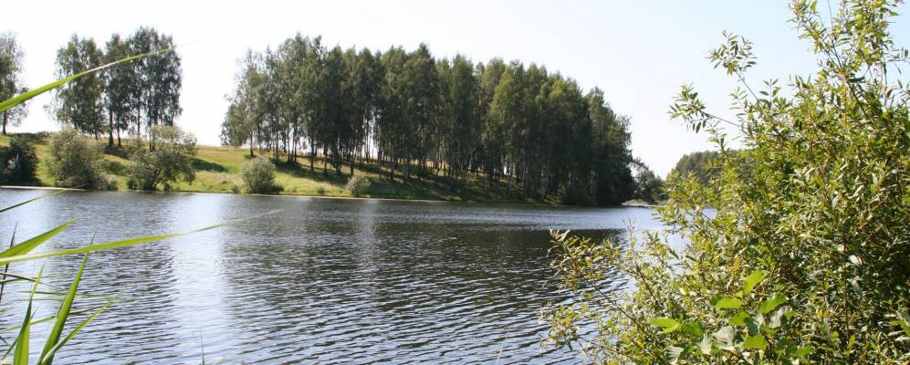 
            Фотография Красильников