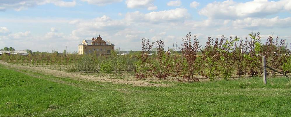 
            Фотография Ефремовской