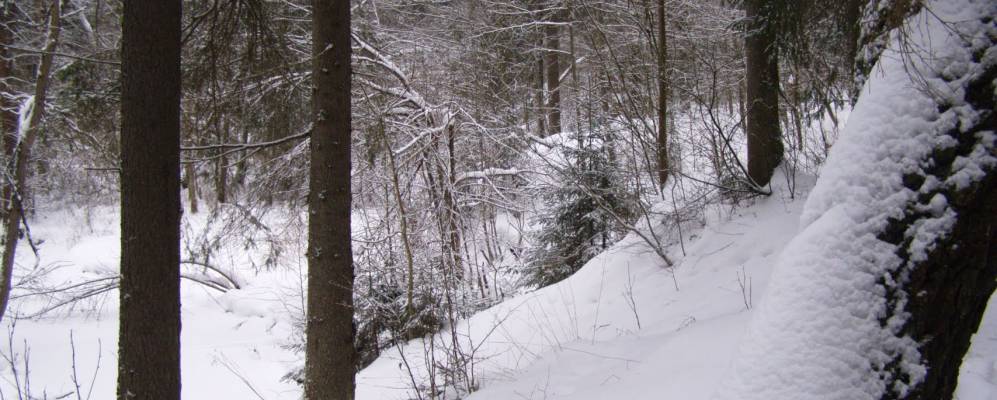 
            Фотография Белозерово