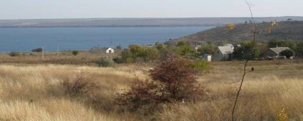 
            Фотография Широкого