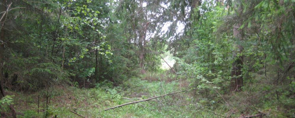 
            Фотография Мальцево