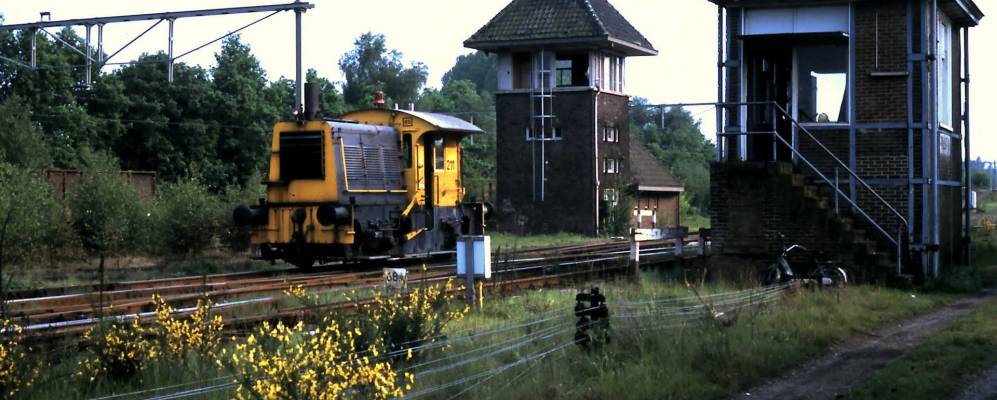 
            Фотография Сюстерен