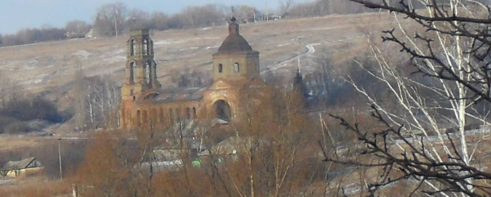 Фотография Парточек