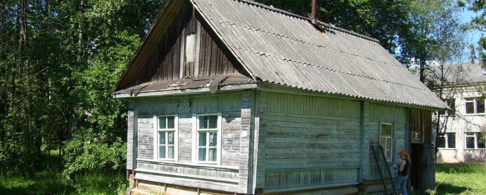 Фотография Белебелки