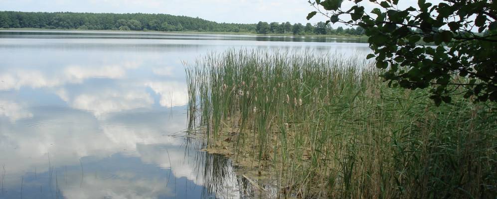 
            Фотография деревни Семиховичи