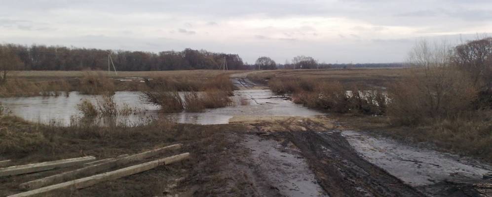 
            Фотография Введенского