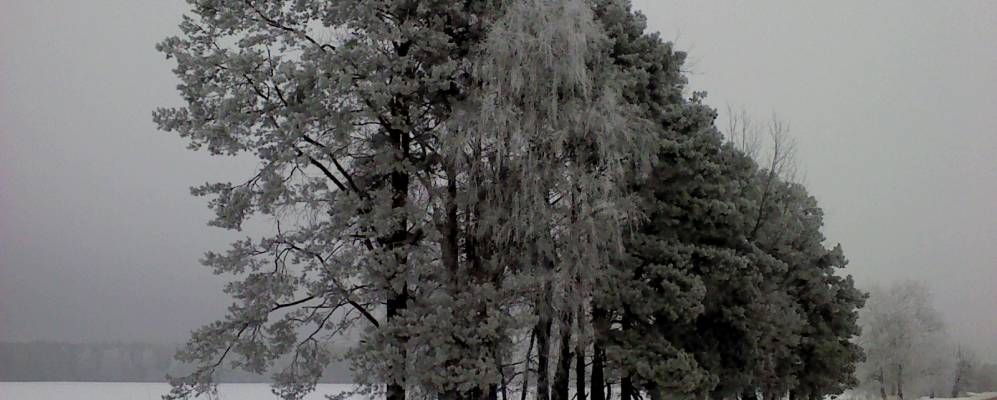 
            Фотография Белой