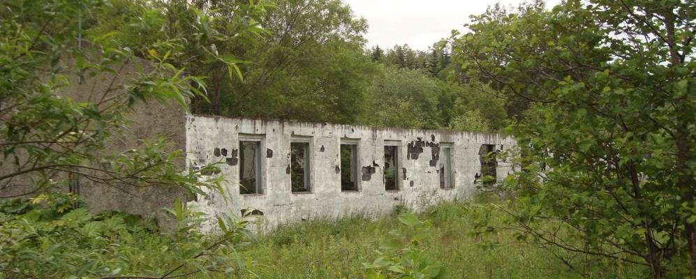 
            Фотография Камышево