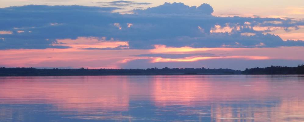 Фотография Звягинской