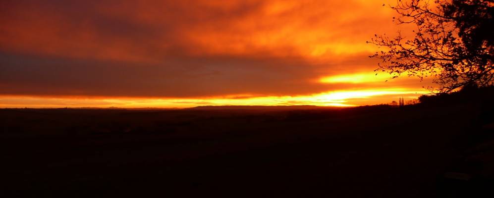 
            Фотография Орена