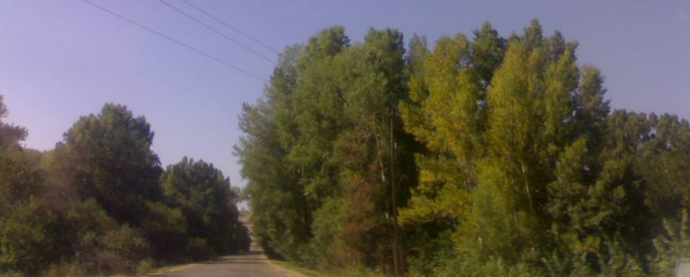 Фотография Куруила