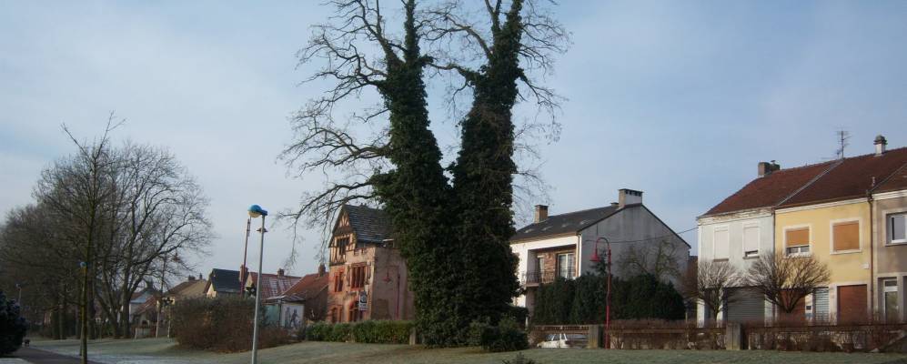 
            Фотография Крётвальда