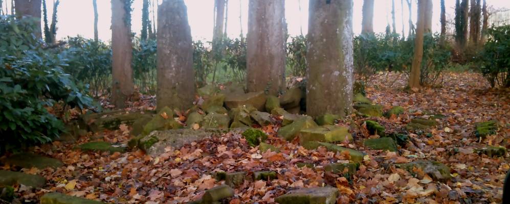 
            Фотография Пекенкура