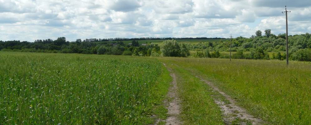 
            Фотография Лужка