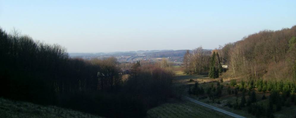 
            Фотография Хильтера