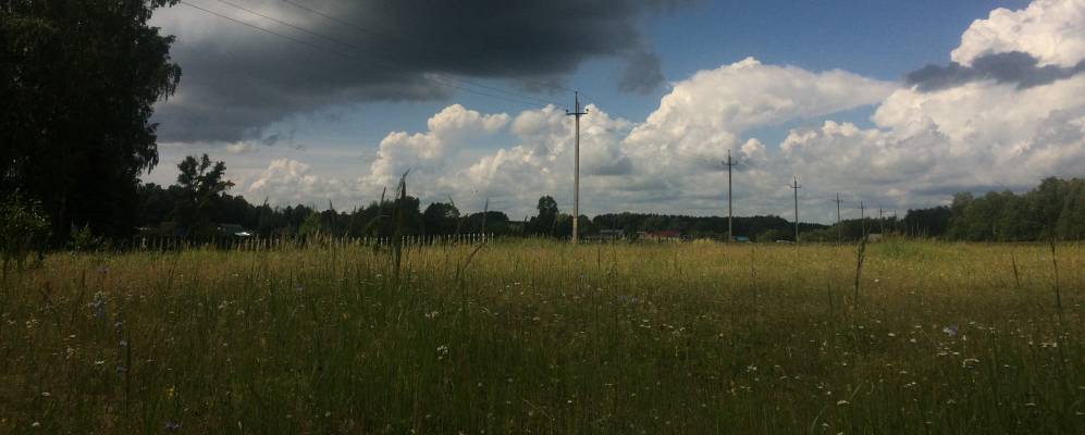 
            Фотография Федоровского